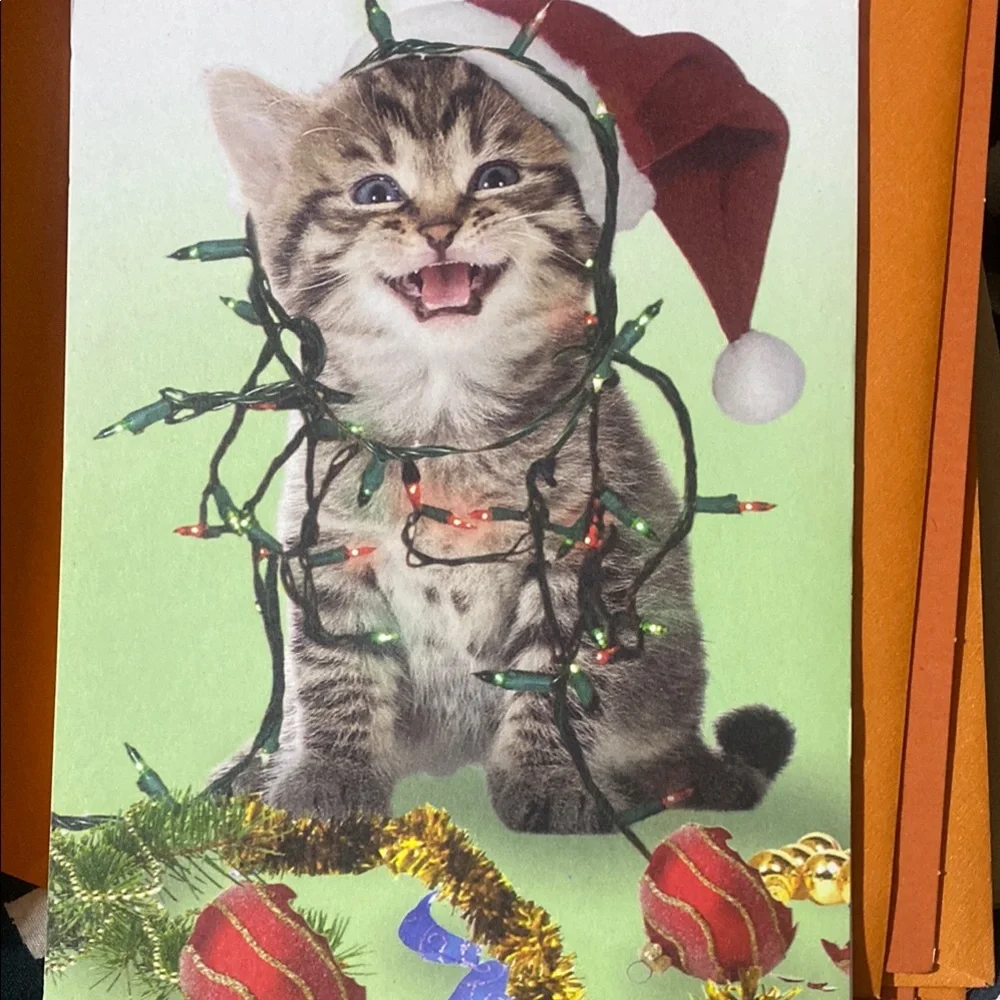 Festive Cat Holiday Card with Santa Hat